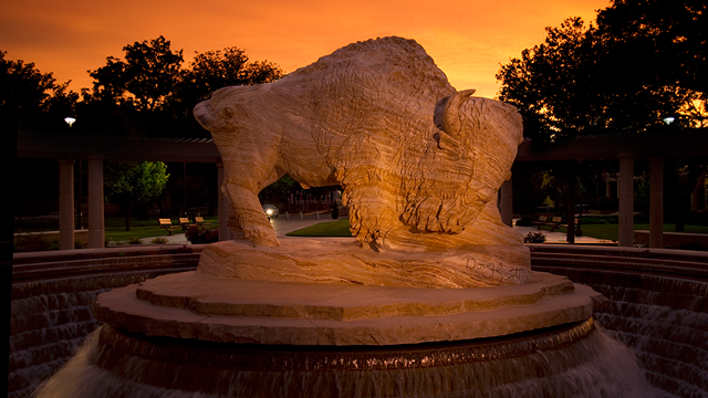 The Original Texans marble buffalo statue at sunset.